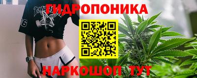 амфетамин Можга