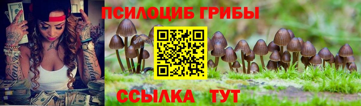 Галлюциногенные грибы ЛСД Северобайкальск