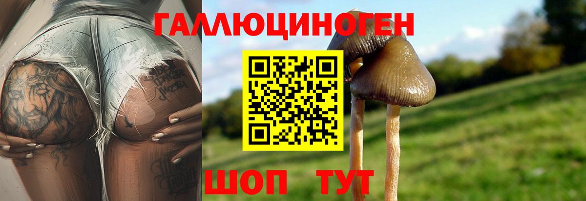 Северобайкальск  Галлюциногенные грибы GOLDEN TEACHER  Вход с VPN  Галлюциногенные грибы Psilocybe 